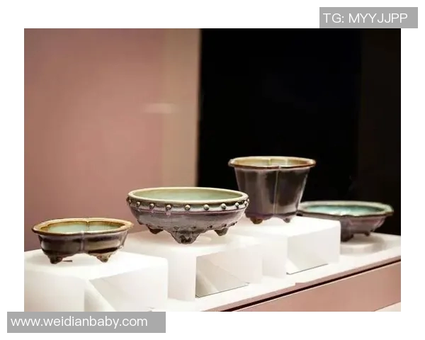 围绕奇才的崛起与突破，探索其在现代社会中的独特作用与深远影响