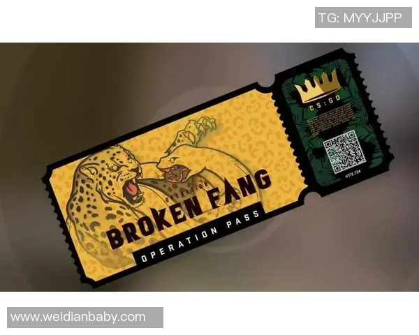 WE战队在CSGO比赛中的盯防策略分析与成效评估 WE战队在CSGO比赛中的盯防策略分析与成效评估